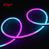 Ruban LED néon flexible de 10 m, 8x16 mm, silicone, IP65, étanche à la poussière, courant constant IC, fil doré 99,99 %, emballage blister, éclairage paysager