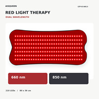 Ceinture de luminothérapie LED rouge 210 points pour commandes en gros et personnalisation de marque