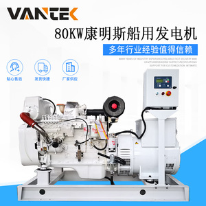Generador Diésel Jiangsu Wantai de 80kW 100kVA, Refrigerado por Agua, Regulación Automática de Voltaje, Uso Marino - Product Image 5