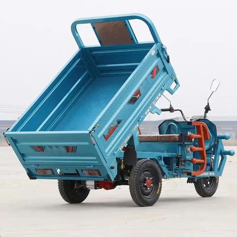 Hot Selling Low price high quality electric tricycle three wheels 1500w Electric Cargo Tricycle