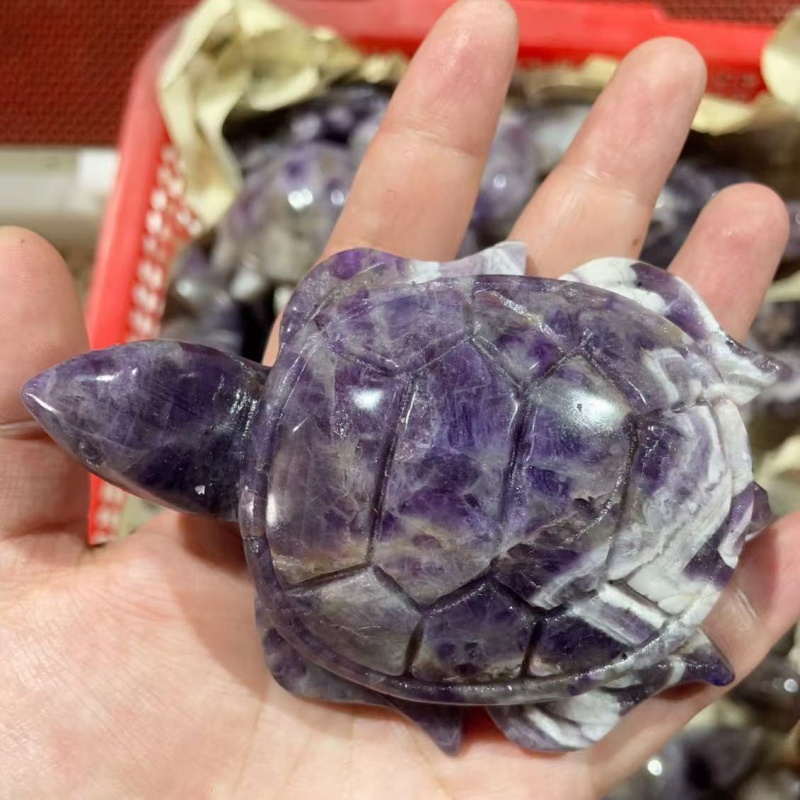 dream amethyst turtle