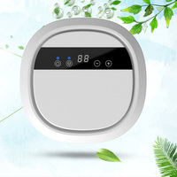 Générateur d'ozone pour lave-légumes domestique 400 mg/h, purificateur d'eau avec lampe UV, garantie 1 an