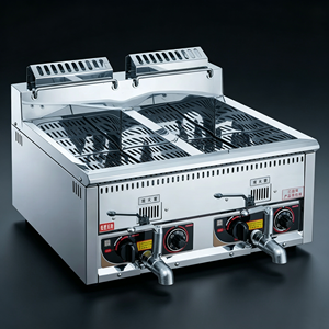 <span class=keywords><strong>Friteuse</strong></span> à <span class=keywords><strong>gaz</strong></span> professionnelle encastrable 12L+12L pour poulet et garri, à air chaud - Product Image 5