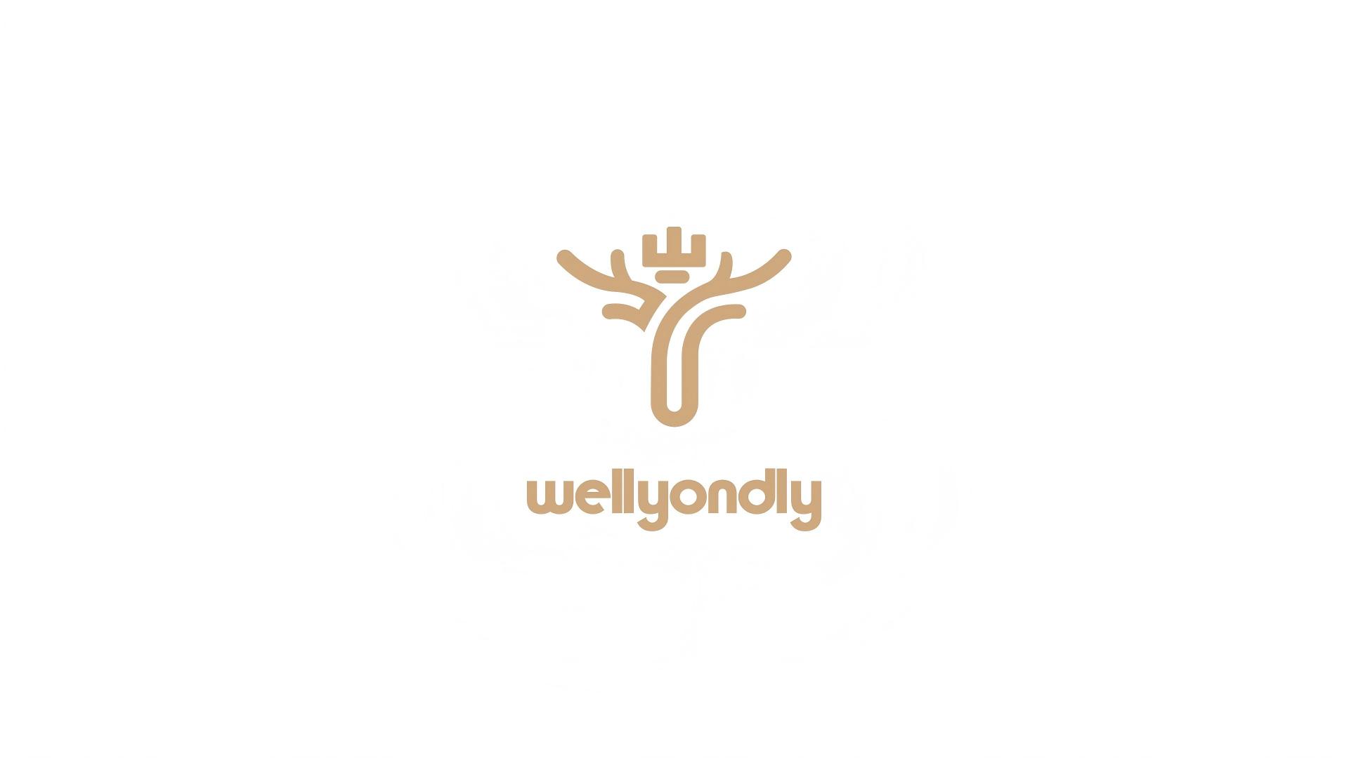 Shenzhen Weiyou Intelligent Technology Co., Ltd. logo