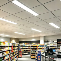 Lampu LED 2FT 4FT 8FT Daya & CCT Dapat Dipilih 120-277Vac 0-10V Dapat Diredupkan 125lm/W Penutup PS Buram Aluminium