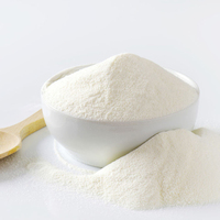 Poudre de Protéine de Lactosérum en Gros, Fabricant en Vrac, Marque Privée, Isolat Pur de Protéine de Lactosérum pour le Développement Musculaire