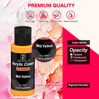 50 couleurs 2 FlOz/60 ml Pigments riches artistes professionnels ensemble de peinture acrylique avec 10 pinceaux pour toile bois de roche verre céramique