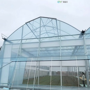 Serre commerciale à grande surface, monocouche, multi-travées, en film PE, avec système hydroponique pour la culture de la laitue, des épinards et du chou - Product Image 4