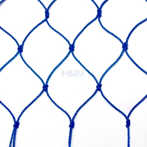 Tùy chỉnh HDPE thắt nút chim <span class=keywords><strong>net</strong></span>-Cut-to-Size cho ao cá & trang trại Việt Quất - Product Image 6