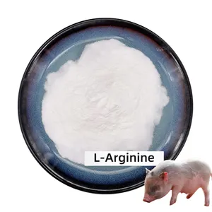 Additifs alimentaires pour animaux de porc les plus efficaces, arginine l 3000mg arginine hcl