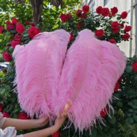 Plumes d'autruche sud-africaines de 80 cm, qualité supérieure, vente en gros, pour costumes de carnaval, Mardi Gras, mariage, fête, décoration intérieure, bricolage