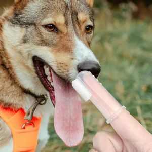 Lebih murah & kualitas tinggi produk mandi anjing Oral anjing alat perawatan anjing sikat gigi perawatan kucing lembut sikat pembersih hewan peliharaan - Product Image 1