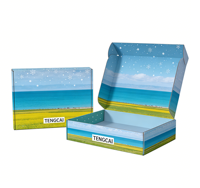 Cajas de Regalo Rosadas de Papel Corrugado Reciclable y Ecológico con Laminado Mate, Personalizables con Logotipo UV, para Zapatos, Ropa y Envíos Postales, MOQ Bajo