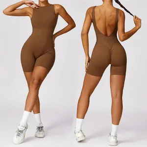 Wholesale Academia Roupa Jumpsuit Yoga Roupas De Academia Short Sexy Yoga Wear Ropa De Gimnasio Mujer Manufactory
