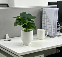Assortiment de mini bonsaïs cactus, plantes succulentes artificielles en pot, fausse verdure résistante aux UV, plantes vertes persistantes pour la décoration de bureau et de maison