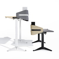 Bureau debout électrique réglable en hauteur, disponible en plusieurs couleurs, avec panneaux d'écran, adapté aux bureaux et aux études.