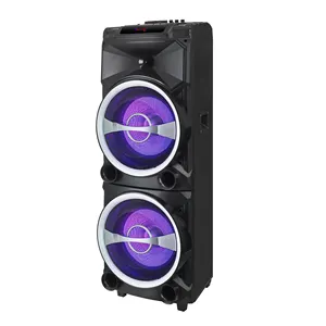 Double haut-parleur de fête en plein air 12 pouces, DJ 120W, haut-parleur de fête avec 2.0 canaux stéréo BT RAC USB AUX FM LED karaoké