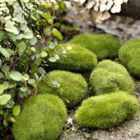 Plante artificielle en mousse verte de haute qualité, écologique et durable, pour micro-paysage intérieur et aquascape, ornement de bonsaï en plastique