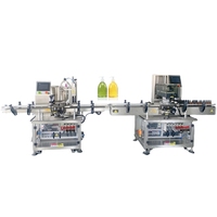 Machine de remplissage et de bouchage automatique haute viscosité pour pâtes nettoyantes, sauces et ketchup