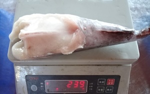 Cola de Monja Congelada de Buena Calidad a <span class=keywords><strong>Precio</strong></span> Económico - Product Image 2