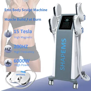 Professionnel 15 Tesla 4 poignées coussin de plancher pelvien graisse brûler Ems stimulateur musculaire construire corps mince sculpter forme Emslim Machine