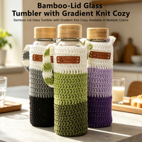 Bouteille d'eau en verre de 500 ml avec manchon tricoté dégradé, couvercle en bambou, anti-fuite, sans BPA, design sportif