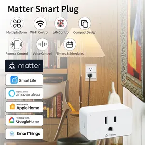 Siri Google Alexa Voice Control Smart Switch WiFi Matter Smart Plug With Remote Control Smart Socket Plug