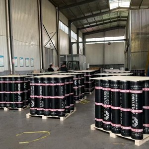 Membrane d'étanchéité en <span class=keywords><strong>bitume</strong></span> modifié SBS 3 mm, film PE renforcé en polyester, pose à la chaleur pour l'étanchéité des toitures et des sous-sols - Product Image 6