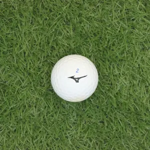 विभिन्न डिग्री थोक इस्तेमाल किया गोल्फ गेंदों 2 परत सफेद गोल्फ रेंज गेंद लोगो के साथ 24 pcs