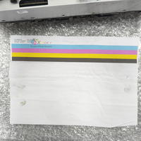 Tête d'impression GAGA 99% neuve, compatible avec Epson C17590/C20590/C26000/C21000/C20750/M20590/M21000A, tête d'impression GAGA / AMC (A4/A3)