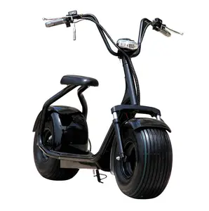 Welcome To Inquiry Price Fat Tire Citycoco 2 Wheel Lightweight Big Harleyment Electric Scooter