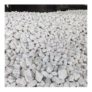 Partículas de Dolomita de Primera Calidad, Grumos de Dolomita para Plantas Siderúrgicas, Polvo de Dolomita de Alta Blancura para Pintura Cerámica y Caucho - Product Image 5