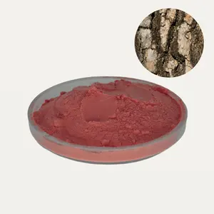 OEM High Quality plant French Pine Bark Extract Proanthocyanidins 95% Powder/ Inhibit inflammation, anti-aging and beauty