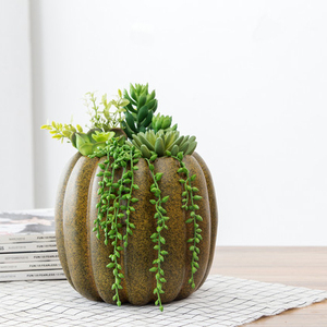 Nuovo disegno a buon mercato all'ingrosso vero tocco bella artificiale piante succulente in vaso di <span class=keywords><strong>zucca</strong></span> per la decorazione - Product Image 1