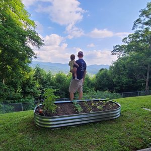 Hot Selling Elliptical Multi Specification Galvanized Sheet <b>Garden</b> Bed Metal Planting Box - Product Image 4