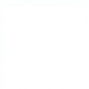 กระเบื้องเซรามิกเคลือบเงา รุ่นโมเดิร์น สำหรับผนังภายใน รุ่น 1007-L ขนาด 300x600 มม. - Product Image 1