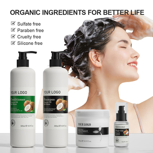 OEM Hair Care Kit Sulfate Free Natural Biotin Argan Oil Coconut Anti-Hair Loss Hair Growth Shampoo and Conditioner Product Set