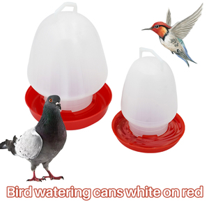 <span class=keywords><strong>Distributeur</strong></span> automatique d'<span class=keywords><strong>eau</strong></span> potable pour oiseaux 0,5 L pour perroquet caille seau d'<span class=keywords><strong>eau</strong></span> en plastique suspendu - Product Image 2