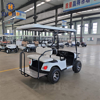 Véhicule tout-terrain miniature de luxe léger de haute qualité 48v à vendre, voiturette de golf électrique 4 places, utilisation à l'hôtel et à domicile