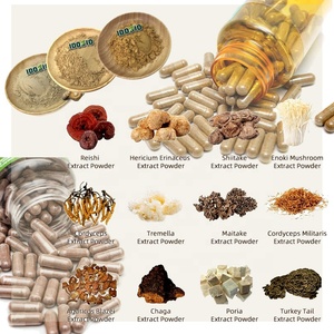 Paddenstoelen <span class=keywords><strong>Superfood</strong></span> Blend Supplement <span class=keywords><strong>10</strong></span> Champignoncomplex Met Leeuwenmanen Chaga Cordyceps Reishi-Extracten In Flessendrommel - Product Image 6