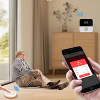 Système d'alarme Tuya Wifi SOS directement de l'usine, panneau 433mhz, système d'alarme intelligent sans fil pour la maison, sécurité domestique, panique, systèmes d'alarme Tuya