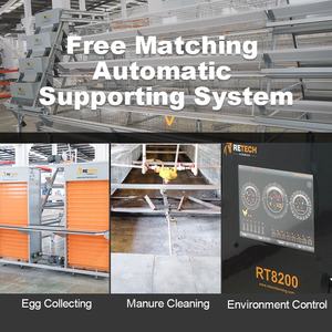 Cages à poules pondeuses pour poules pondeuses à <span class=keywords><strong>vendre</strong></span> - Product Image 3