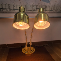 Lampe chauffante infrarouge professionnelle pour buffet et maintien au chaud des aliments, équipement de cuisine commerciale pour hôtels
