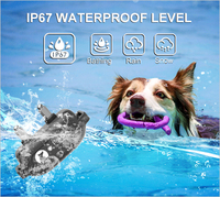 Bestseller Anti Bark Shock Halsband Stop Barking Hunde halsband No Shock Dog Fernbedienung