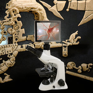 TX-BM-04 휴대용 지질 현미경 가격 무한대 대물렌즈 실험실용 삼안 현미경 내장형 디지털 카메라 및 모니터 포함 - Product Image 5