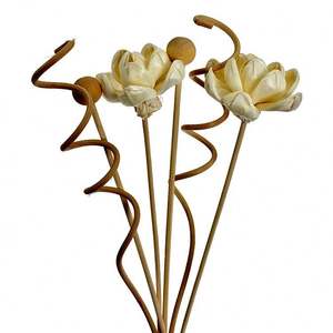 Anches en osier 30Cm Diffuseur synthétique Cat Safe Reed <span class=keywords><strong>Durance</strong></span> Éléments essentiels Bâtons parfumés Sans huile Tiges de fleurs - Product Image 5