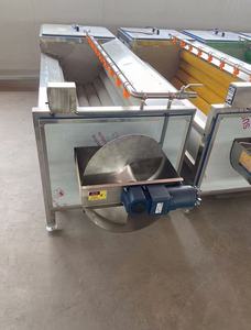 Meilleur <span class=keywords><strong>prix</strong></span> – Équipement automatique de lavage et de pelage de fruits et légumes à grande capacité et alimentation continue pour ligne de production d'aliments surgelés - Product Image 4