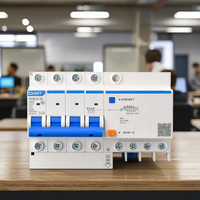 Disjoncteur de courant restant de Protection ChintNXBLE-63 4P 6A/10A/16A/20A/25A/32A/40A/50A/63A RCBO