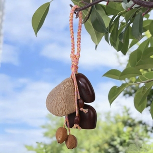 Wholesale Ethnic Handicraft Natural Fruit Shell Hanging Charm <b>Wind</b> <b>Chime</b> For Decorating - Product Image 4