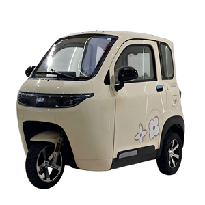 <span class=keywords><strong>Scooter</strong></span> de mobilité fermé - L2e certifié EEC COC, mini voiture <span class=keywords><strong>électrique</strong></span> à cabine, <span class=keywords><strong>3</strong></span> <span class=keywords><strong>roues</strong></span> pour adultes ou jeunes hommes <span class=keywords><strong>sans</strong></span> <span class=keywords><strong>permis</strong></span> de conduire - Product Image 1